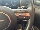 Hyundai TUCSON 1.6T Ultimate Auto Euro 6 (s/s) 5dr 29