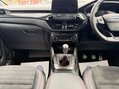 Ford Kuga 1.5T EcoBoost ST-Line Edition SUV 5dr Petrol Manual Euro 6 (s/s) (150 ps) 54