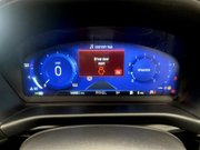 Ford Puma 1.0T EcoBoost MHEV ST-Line Vignale SUV 5dr Petrol Hybrid DCT Euro 6 (s/s) ( 14