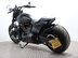 Harley-Davidson Softail SOFTAIL FXDR 114 19 6
