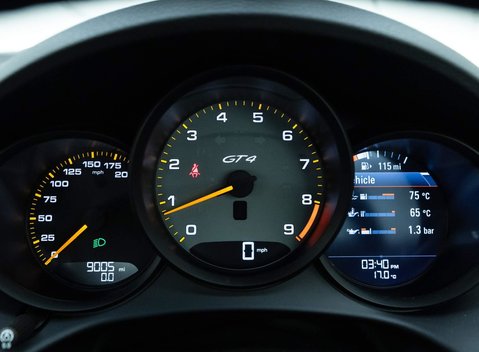 Porsche Cayman GT4 (718) 14