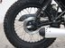Mutt Akita 125 Pre-registered 22