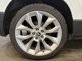 Skoda Karoq 2.0 TDI Edition 4WD Euro 6 (s/s) 5dr 39