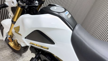 Honda MSX125 2015 ONLY 8K VERY CLEAN MINI MONKEY BIKE 125CC 13