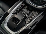 Aston Martin DBX 1913 Edition 1/500 15
