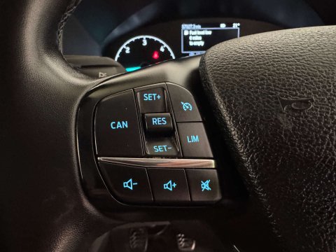 Ford Transit 350 Limited 2.0 EcoBlue L4 14