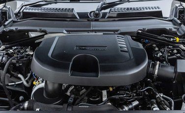 Land Rover Defender 110 D300 X 29
