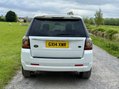 Land Rover Freelander SD4 DYNAMIC 8