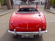 Austin Healey 100/6 BN4 24